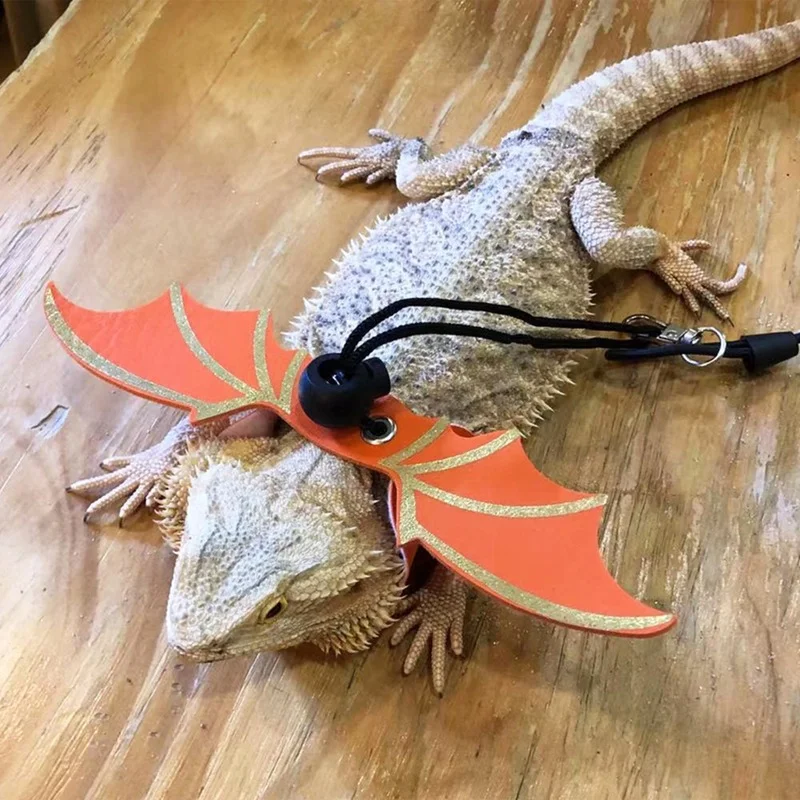 Bat Wing Lizard Leash 3