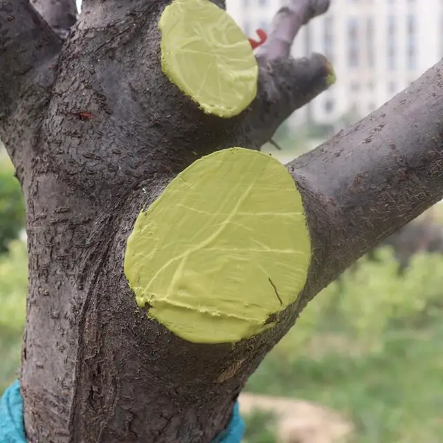 Fa Metszés Gyógyító Paszta Bonsai Vágott Sebes Kötés Sebvágás Metsző Vágó Otthoni Kerti Pályához - Image 3
