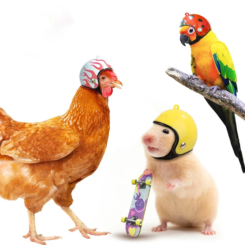 Funny Chicken Helmet Plastics Pet Protective Headgear Sun Rain Protection Hats Bird Protect Cap Pet Supplies Accessories