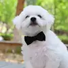 Bow Collar Solid Color Bowknot Puppy Chihuahua Adjustable Cats Accessories Safety Bell Tie Bow Buckle Pets with Collar New 2