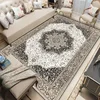 Home Decoration Persian Carpets Living Room Retro Decor Rugs Hall Sofa Area Foot Mat Bedroom Cloakroom Hallway Large Carpet 1