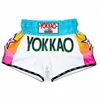 Muay Thai  Shorts Beach Pants Sanda Fighting Professional Training Boxing Children Fighting Customization 3