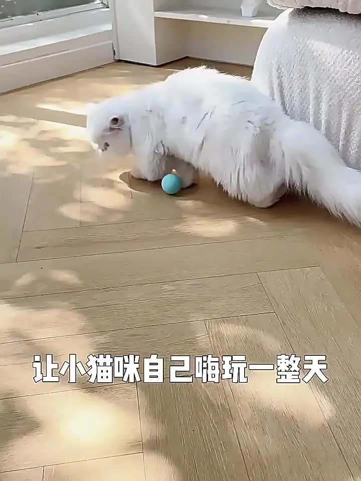 Интеллектуальный катящийся шарик для кошек