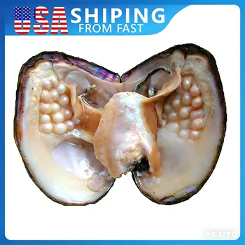 Freshwater Pearl Oyster 1
