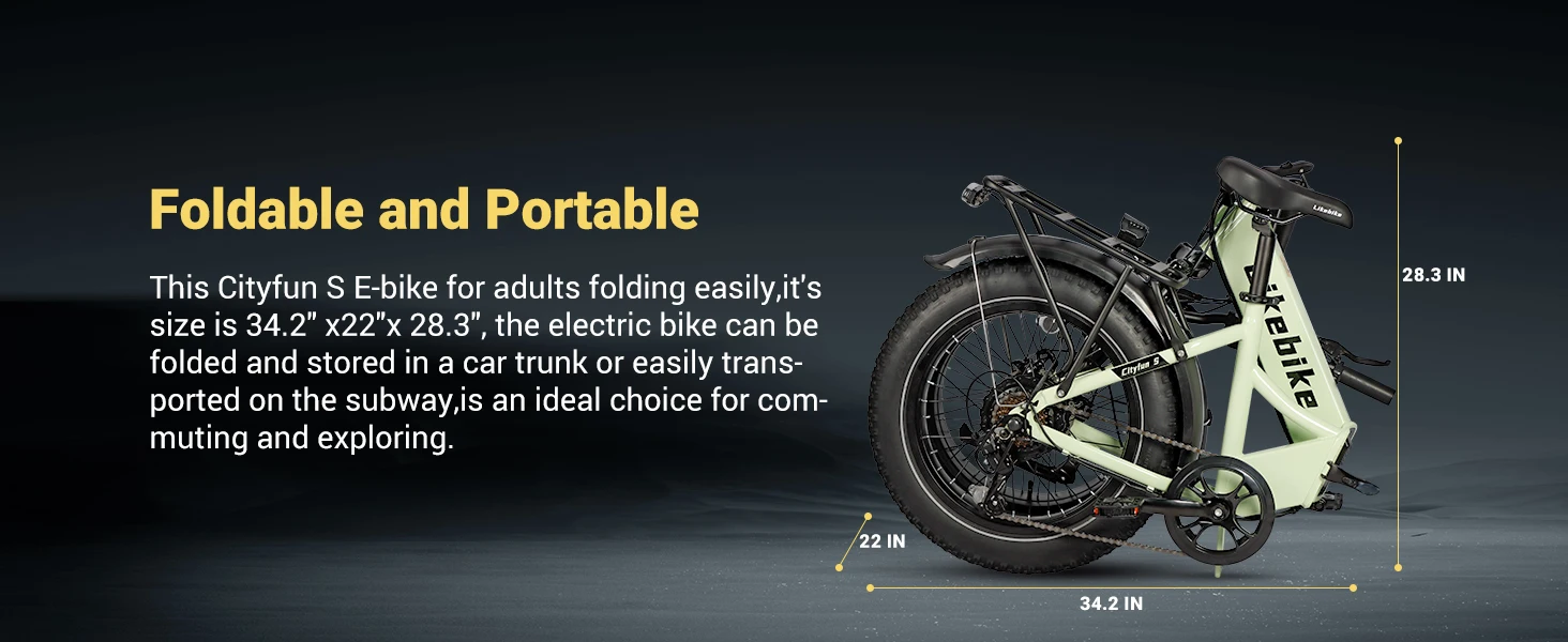 Electric Bike for Adults