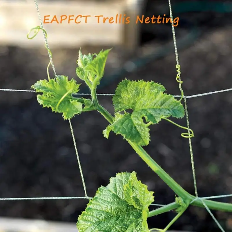 Scrog Net Heavy-Duty Garden Plant Trellis Netting Elastic Garden Trellis Soft Net For Vegetables Vines Plant Growing