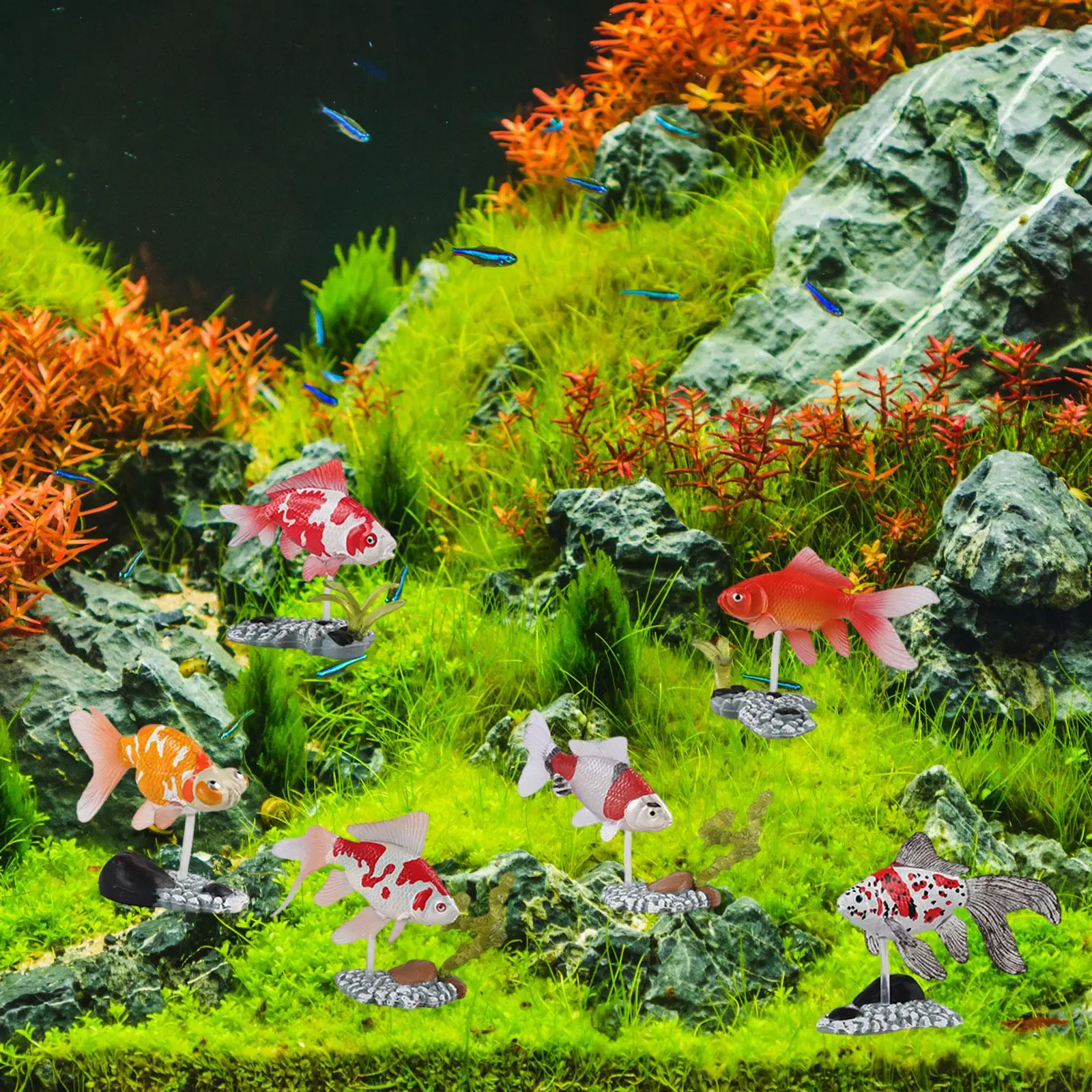 Stone Bridge Aquarium Hideaway 6