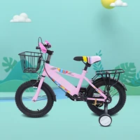 Vélo pour enfants de 14 pouces, vélo d'extérieur réglable avec roues d'entraînement, panier et siège arrière pour garçons/filles de 3 à 6 ans 4