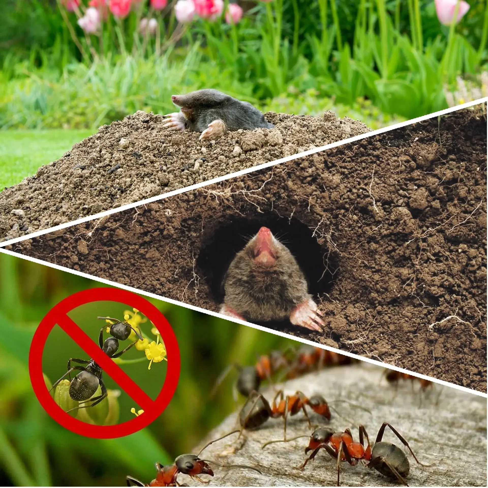 Animal Repellent Solar Ultrasonic Rat Repellent Built-in Buzzer Outdoor Ultrasonic GardenLawn LED Electronic Breeding snake Repellent