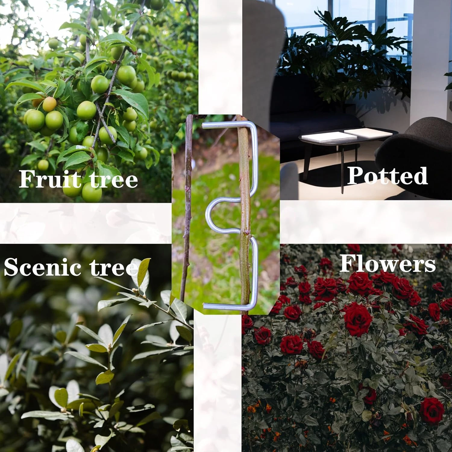 Fruit Tree Branch Shape Fixator Tree Branch Fixator Garden Yard Trees Support Holder Plants Vine Trainers M-Shaped Steel Wire Branch Bending Tools