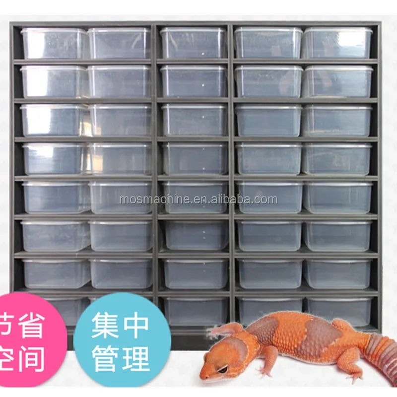 

2023 New pet house snake rack box reptile terrarium for lizards tank