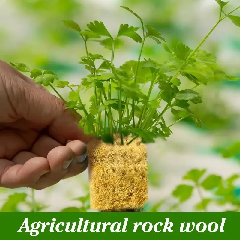 Hydroponic Grow Media Cubes Stonewool Plant Cube Soilless Substrate Seeded Planting Spong Plug Seedling Block Garden Supplies