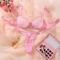 Lingerie audacieuse pour femmes, ensemble soutien-gorge et culotte en Tulle rose, broderie délicate, sous-vêtements romantiques pour femmes, Lingerie intime et Sexy 2