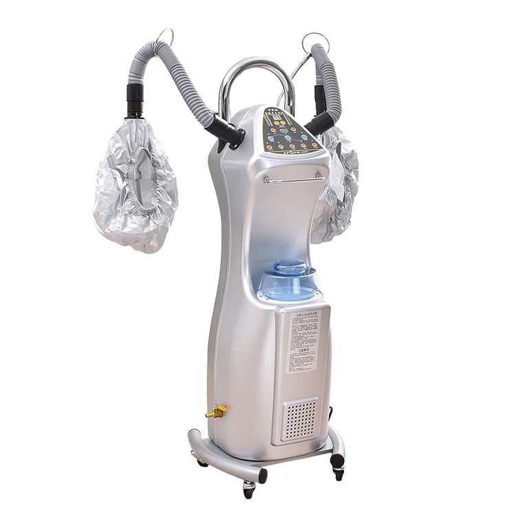 Professional Ozone Micro-Mist Nano Hair Steamer Biochemical Instrument Dry Hair Beauty Spa Professional Ozone Steamer