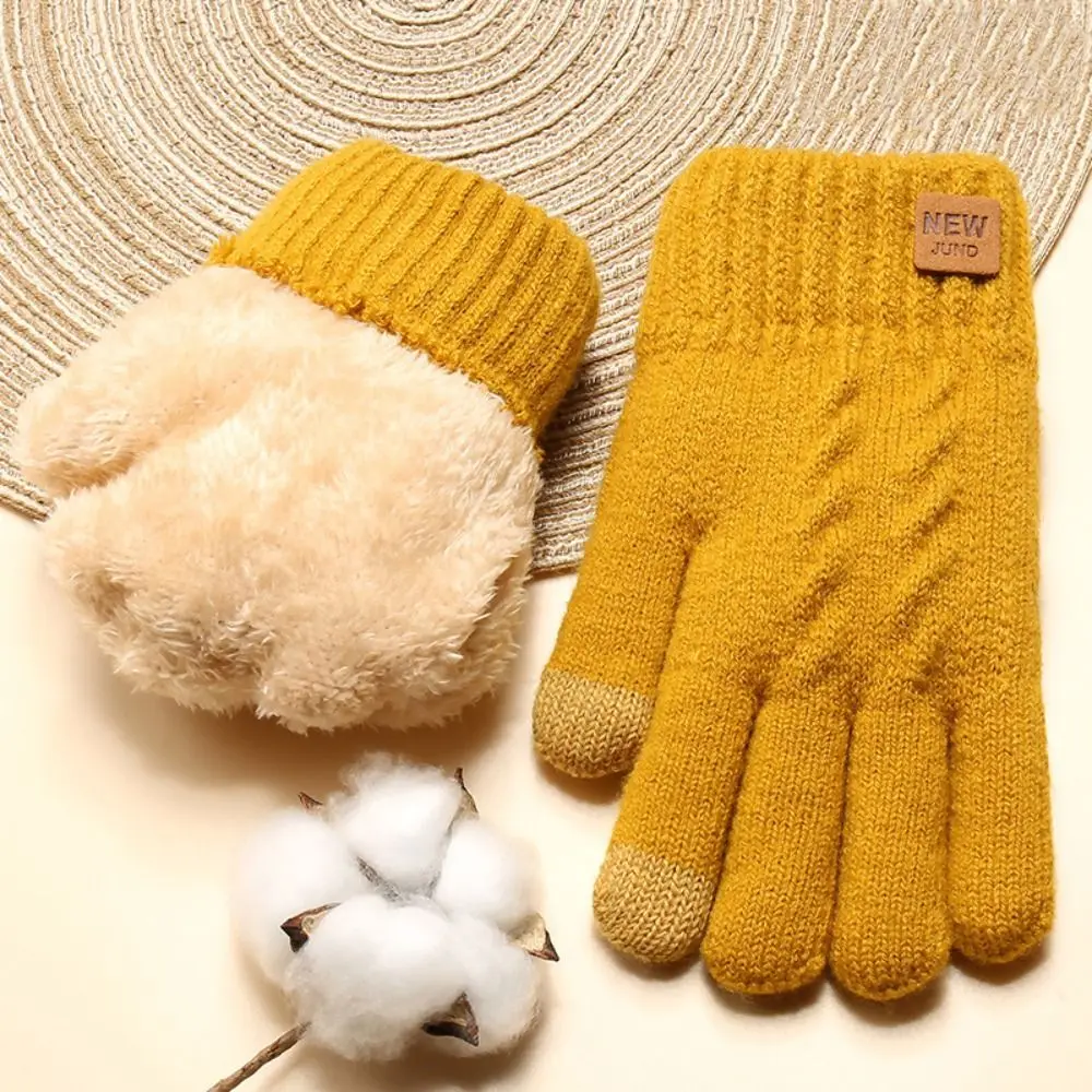 

Cold Proof Knitted Gloves High Quality Thickened Plush Double Layer Driving Gloves Nonslip Winter Warm Gloves Outdoor