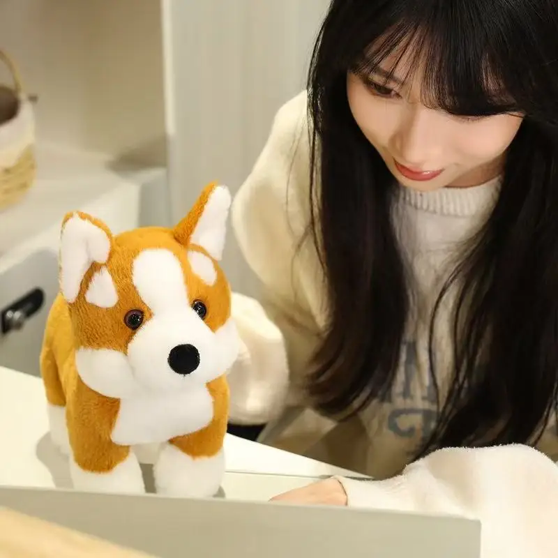 S580ea632883440be8d60506f4849d61fw - Corgi Gifts