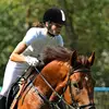 Equestrian Horse Riding Helmet Breathable Durable ABS Safety Half Cover Headgear Breathable Safety Hats For Equestrian Riders ﻿ 2