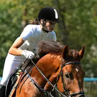 Equestrian Horse Riding Helmet Breathable Durable ABS Safety Half Cover Headgear Breathable Safety Hats For Equestrian Riders ﻿ 2