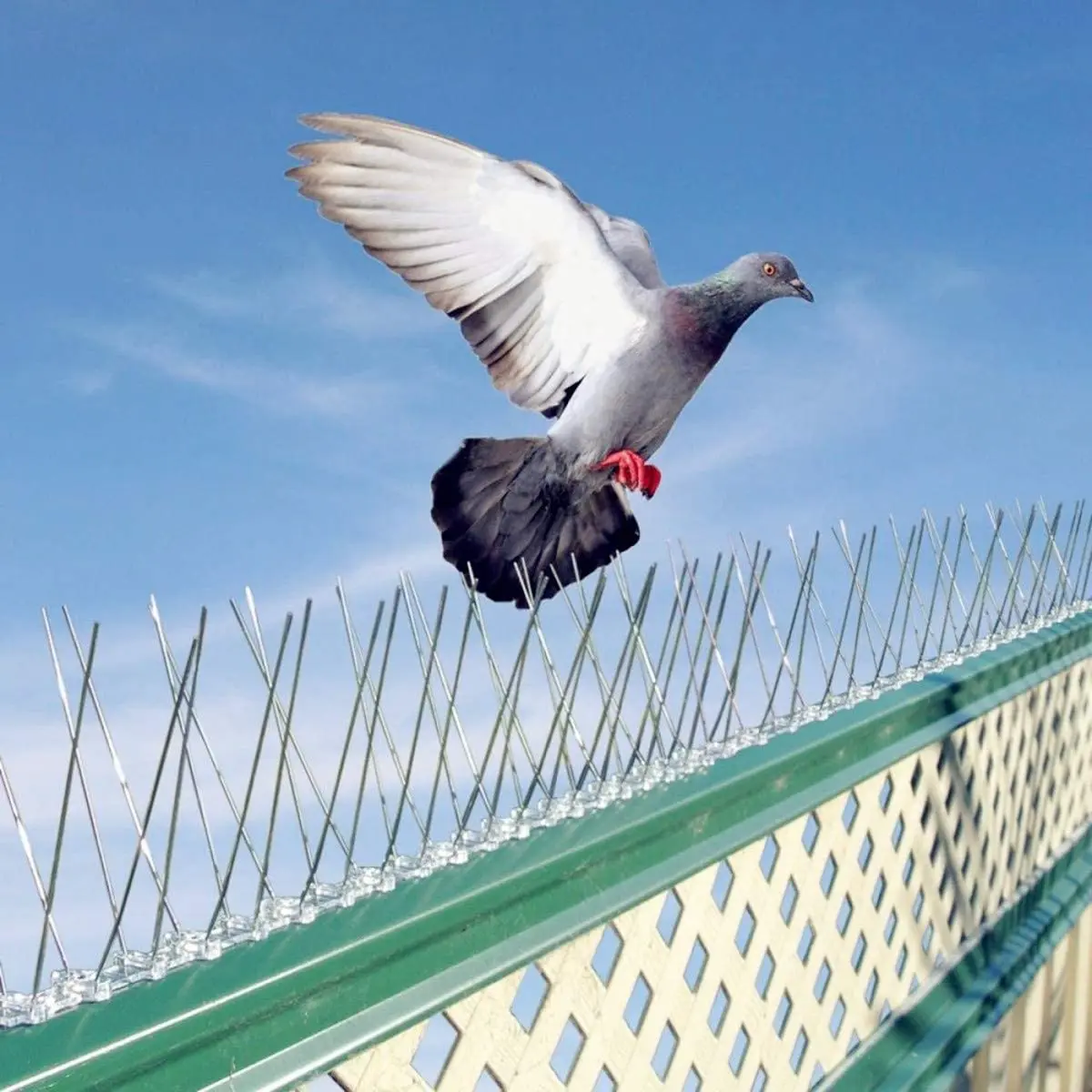 Filet Anti Pigeon Balcon Leroy Merlin Pics à oiseaux flexibles, dissuasion Durable des pigeons, pointe en acier  inoxydable, répulsif anti oiseaux | AliExpress