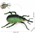 Stick insect