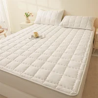 Hypoallergenic Quilted Mattress Protector - Breathable Noiseless Mattress Cover Pad with 4 Elastic Corner Straps,Solid Color 2