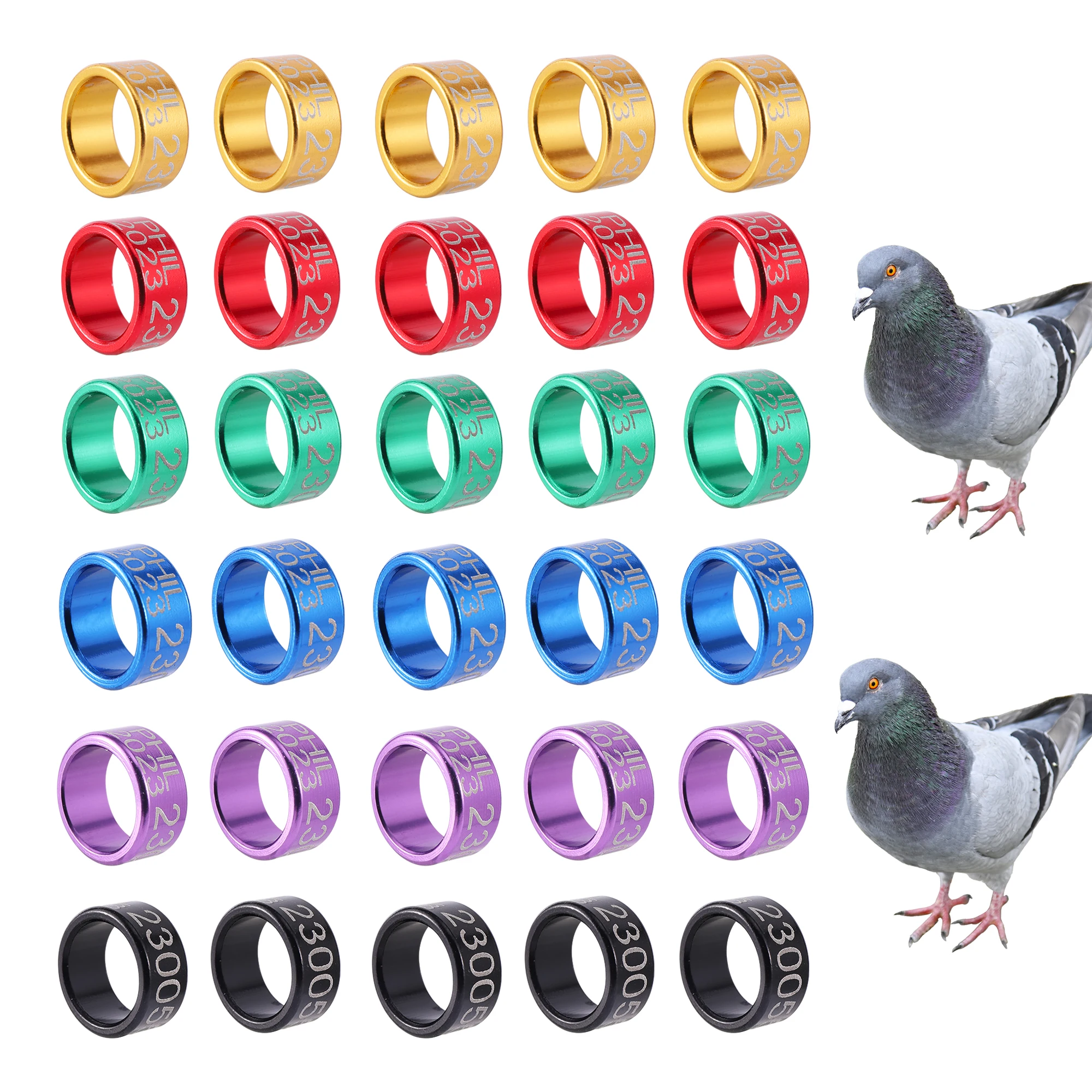 Acro Pigeon Leg Plastic Sound Ring Ring for Pigeon for Big Pigeons (50  Pcs), 50 Pieces : Amazon.in: Pet Supplies