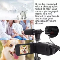 Caméra vidéo professionnelle HD 1080P, caméscope avec Microphone