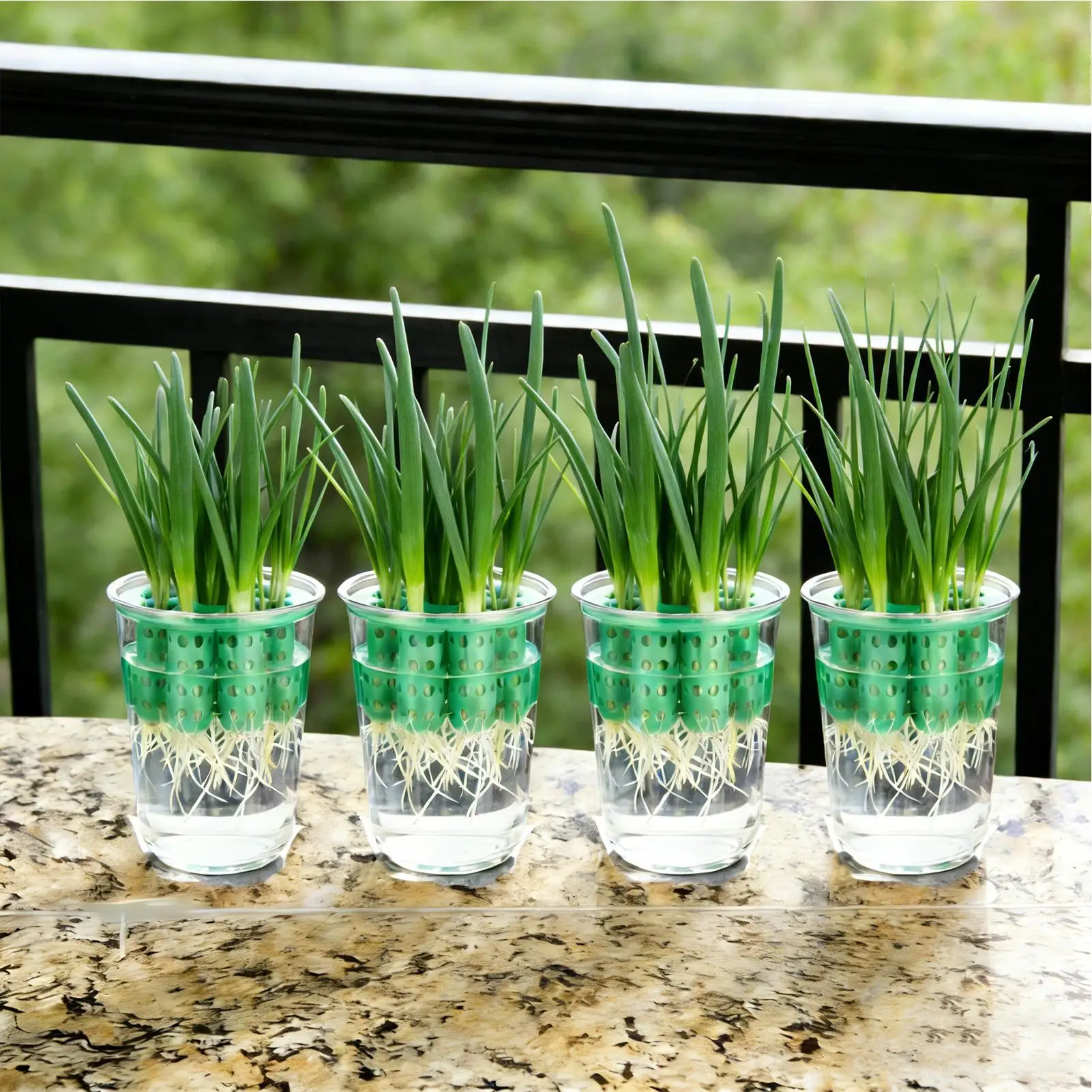 Frühlingszwiebel-Pflanzgefäß, transparent, wiederverwendbar, Hydroponik-System, Frühlingzwiebel-Anzuchtset für Fensterbank, Garten, Zuhause