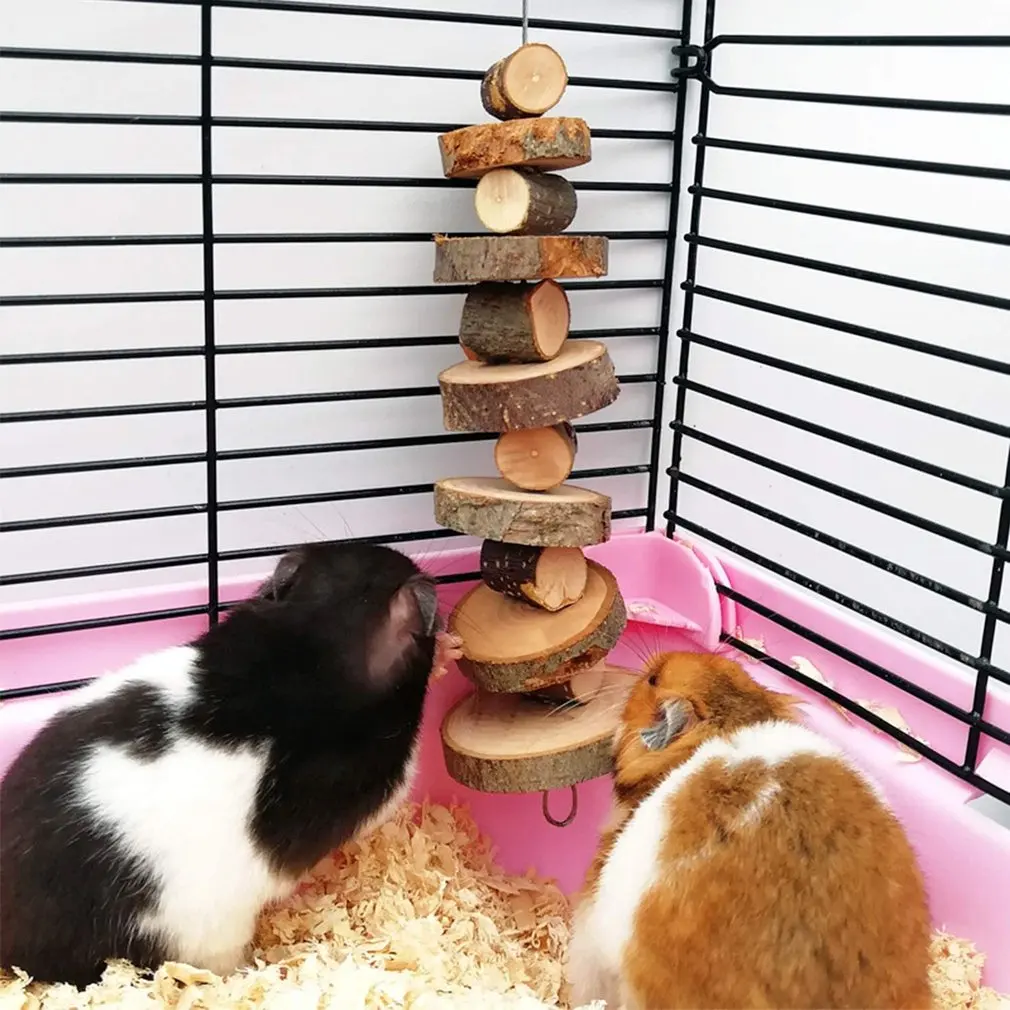 Pet Chew Toys for Small Animals