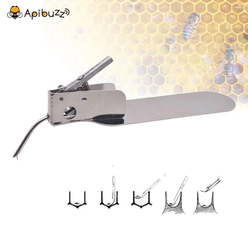 Stainless Steel Master Grafting Tool for Grafting Honey Bee Larvae with Spare Tongue Queen Rearing Tool Beekeeping Supply