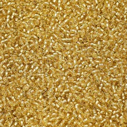 Vibrant Glass Seed Beads for Jewelry Making and Crafts - 18g/lot (Gold Champagen)