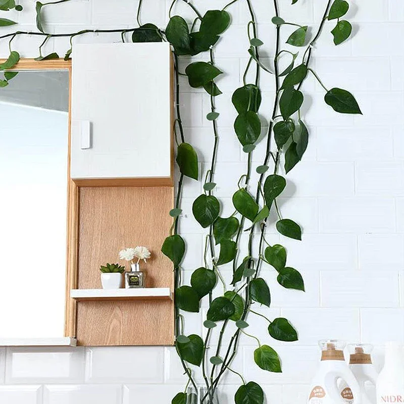 10-30pcs Plant Climbing Wall Fixture Clips Invisible Self-Adhesive Hook Vine Traction Home Garden Decor plastic plant clips,plant clips,plant adhesive hooks,plant wall hooks