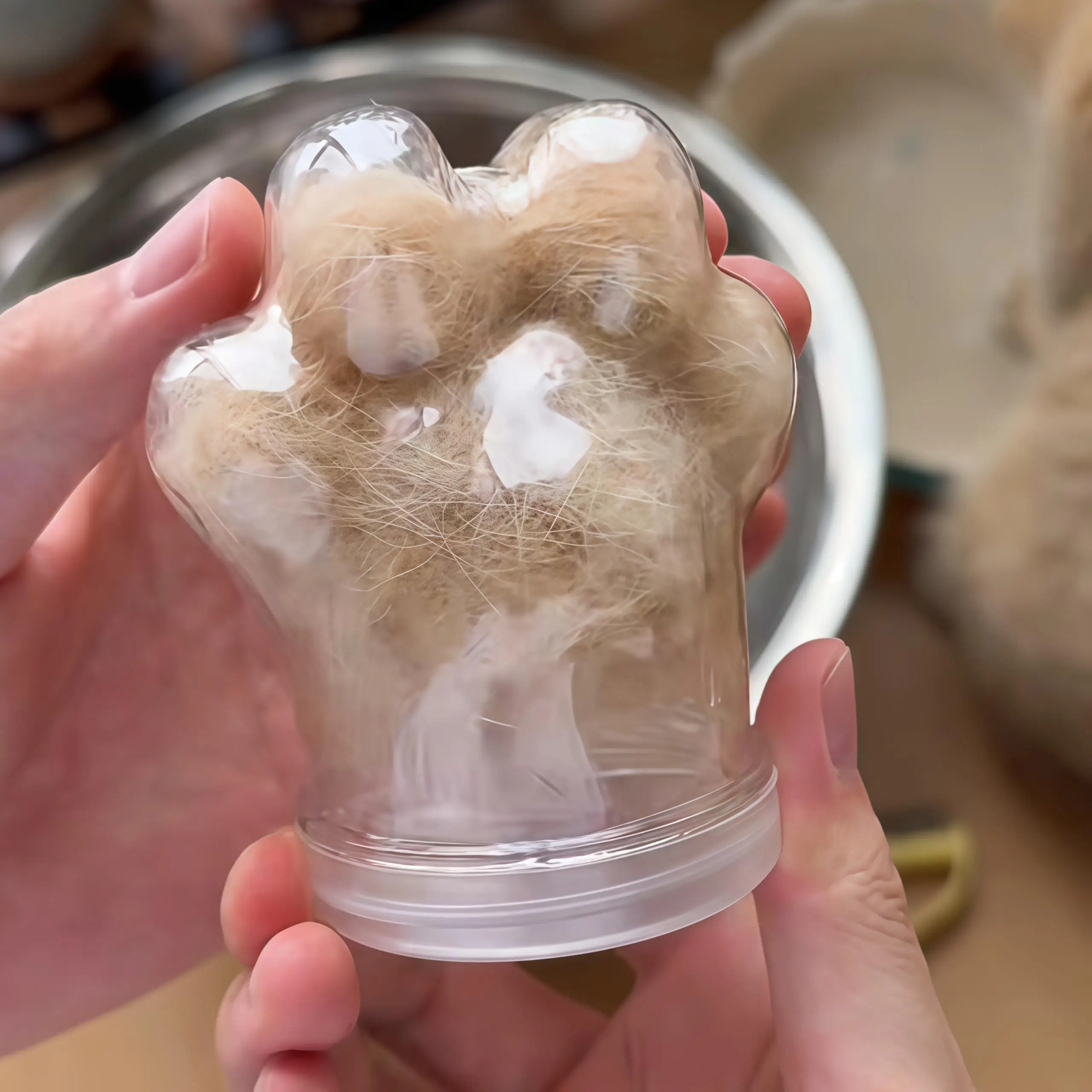 귀여운 고양이 발톱 모양 헤어핀 컬렉션 투명 장 수집품 고양이 테마 거실 침실 장식 수납 아트워크