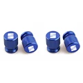 4Pc-blue