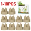1-10pcs Aquarium CO2 System Generator Bottle Cap Fish Tank Live Plant DIY Air Diffuser Carbon Dioxide Reactor Instrument 1