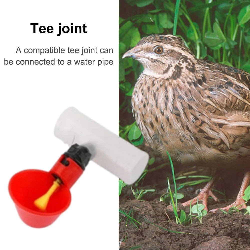 6pcs Tee PVC Pipe Fitting 20mm Plastic 3 Way Tee Slip Connector Bird Drinker PVC Tee Fittings for Threaded Poultry Nipples