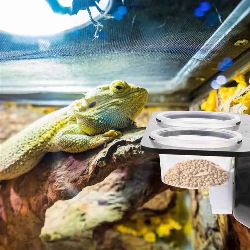 Reptile Tank Feeders Suction Cup Feeders Feeding Bowls Food Water Dishes Terrarium Breeding Box Pets Supplies