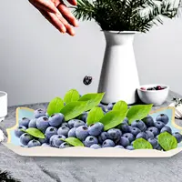 4 Pcs Square Paper Lace Plate Cardboard Serving Platters Cookie Candy Table Containers Blue Plates Trays Fruit Party 2