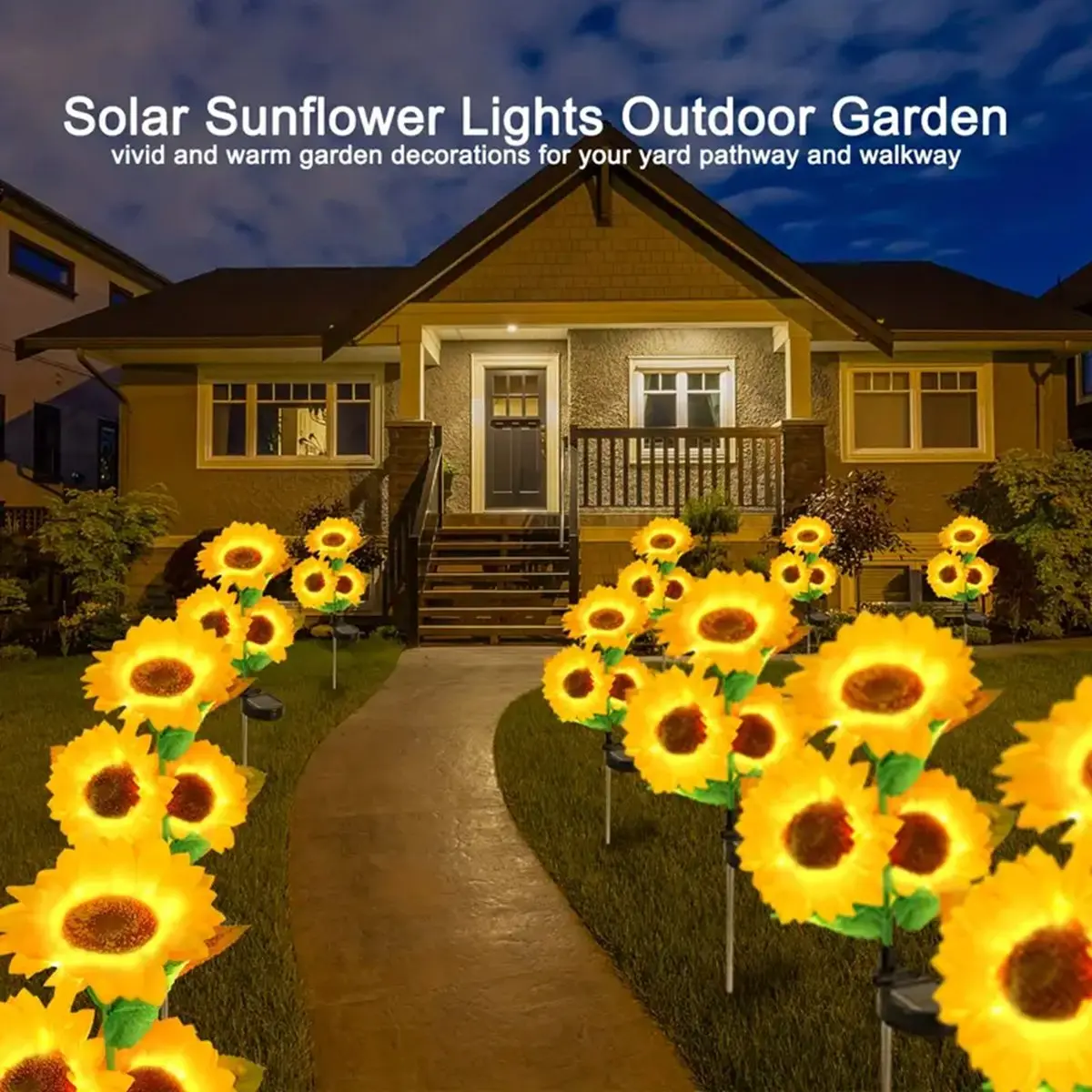 ✿sunflower✿ Organic Non-GMO Autumn Beauty Sunflowers