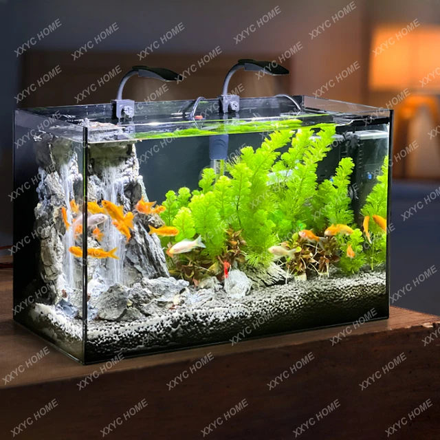 Aquariums  Real Aquatics