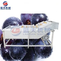 Automatic Bubble Washing Machine Jujube Blueberry Bubble Spray Fruit Washing Machine Citrus Orange Cleaning Equipment 1
