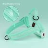 Adjustable Nylon Dog Harness Colorful Pet Dogs Vest Harness With Quicklace Control Handle for Small Medium Large Dogs Chihuahua 3
