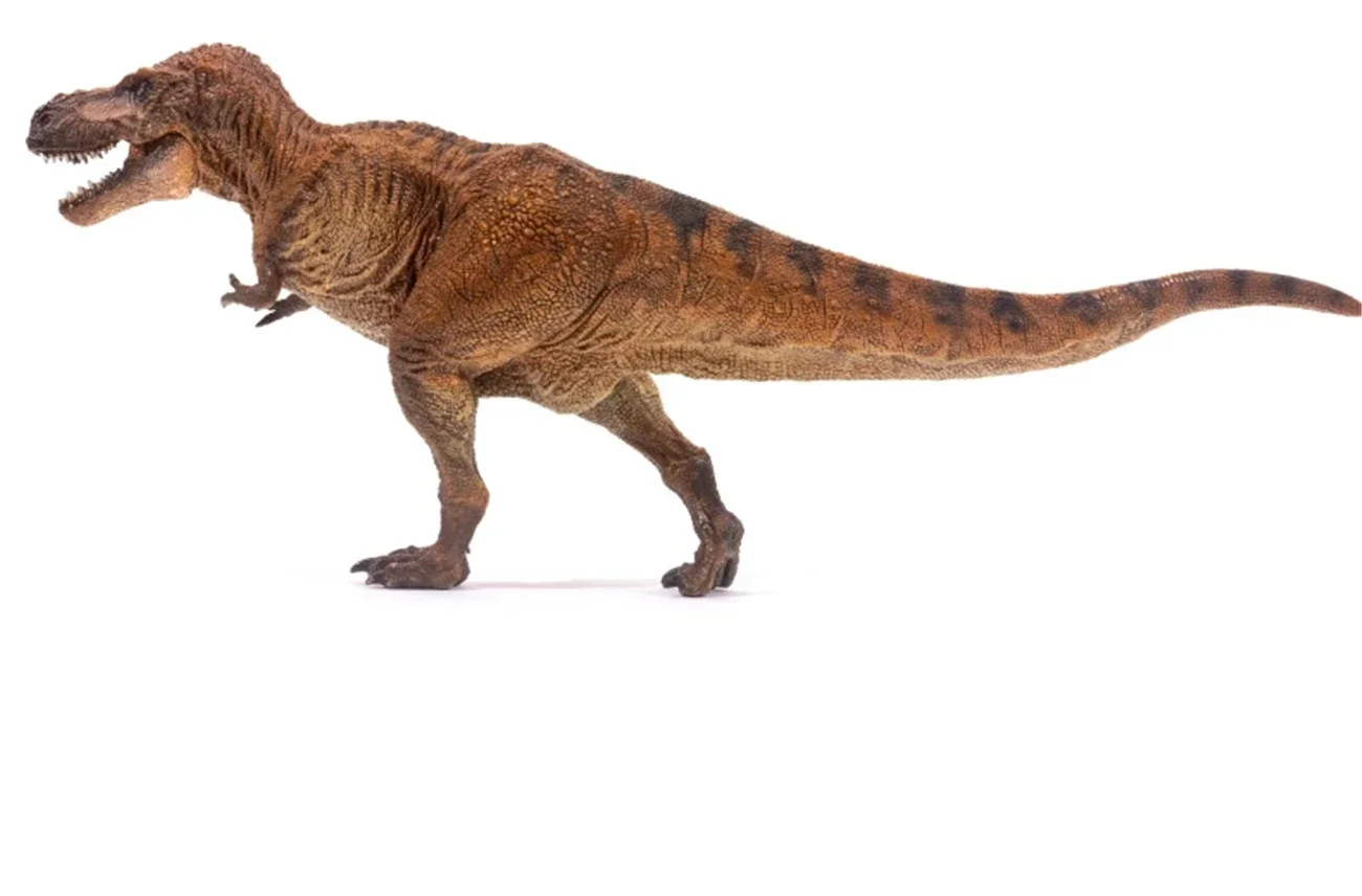 Nanmu 1:35 Scale Tyrannosaurus Rex Figure Alpha T-Rex Tyrannosauridae  Dinosaur Trex Model Realistic PVC Animal Collector Toys Decor Gift for  Adult