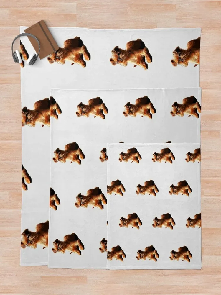 ��� �׸��� ȭ���� �� ��Ʈ ���� �ڽ����� �ִϸ��̼�  ��� ������