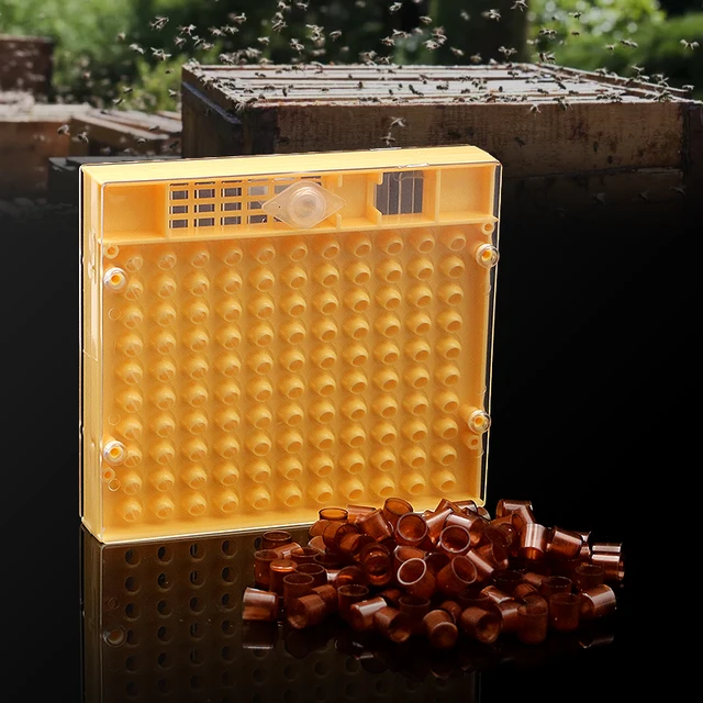 Méhészet Queen Tenyésztő Cella Pohár Doboz Készlet Műanyag Méhsejt Ketrec Izolációs Apikulturális Berendezések Kiegészítők