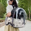 Large-capacity transparent Pet Cat Carrying Bag backpack out portable space capsule shoulder cat bag pet bag Carrier for Travel 2