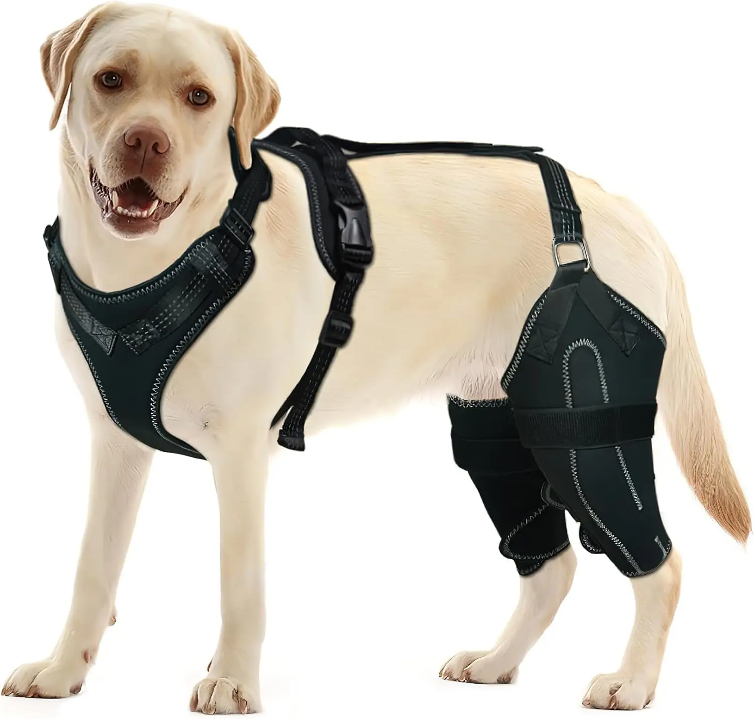 Dog Acl Knee Brace for Torn Acl Leg Dog Knee Braces for Back Leg Warm Joint and Relieves Joint Pain Better Recovery
