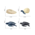 Life Cycle Set E