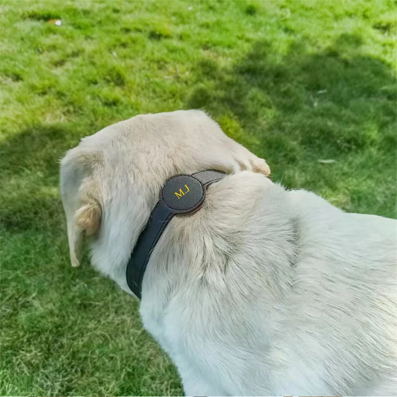  ± Ÿ ֿ  ̸ Į  н  Į ġ  ȣ ̽, ±   