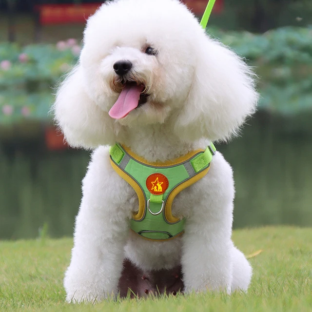 Dogs Adjustable Harness Leash Set for Small Medium Dogs Harness Vest Reflective Puppy Chest Strap Pet Walking Outdoor Supplies 2